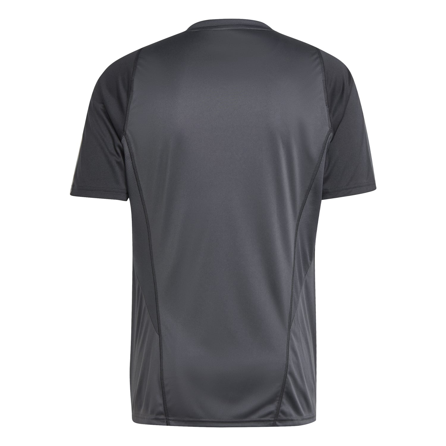 Camiseta Técnica adidas Hombre Entrenamiento UCL 23/24