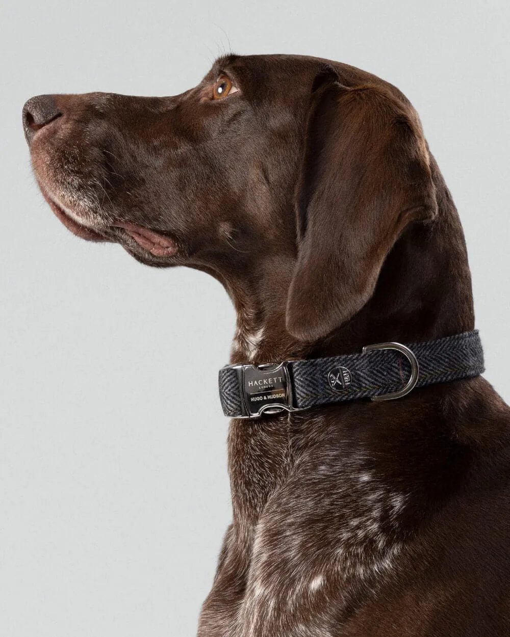 Grey Checked Herringbone Tweed Dog Collar