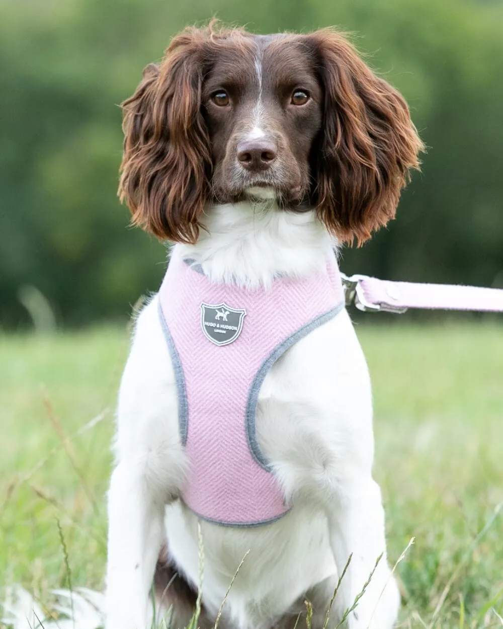 Tweed Dog Harness - Pink Herringbone