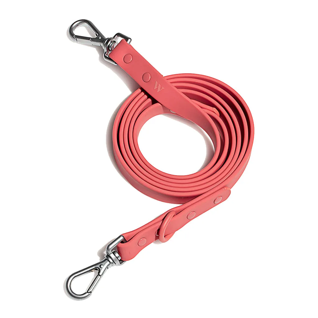 Wild One Dog Leash Standard